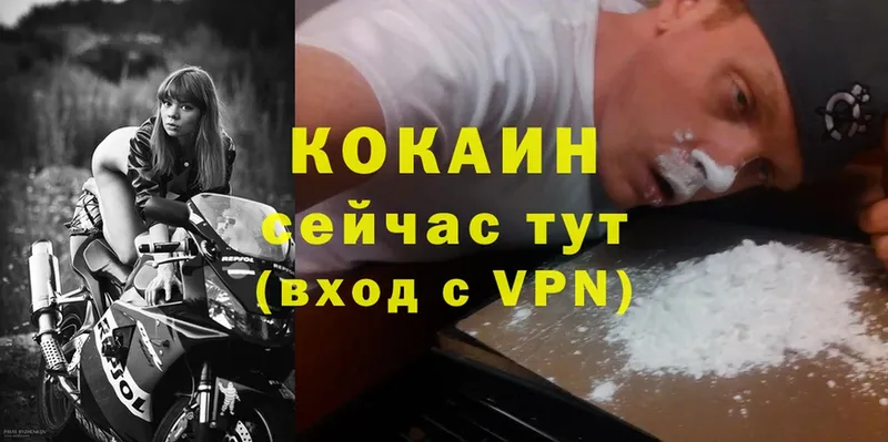 Cocaine Эквадор Луховицы